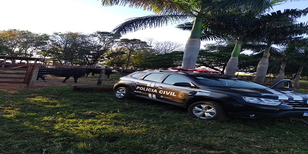 Segurança rural: Polícia Civil recupera nove cabeças de gado furtadas, em Morrinhos