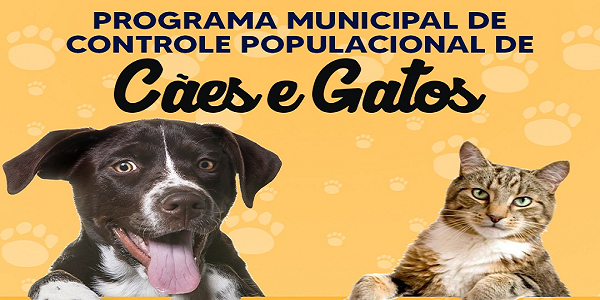 Prefeitura de Morrinhos oportuniza inscrições para castração de cães e gatos