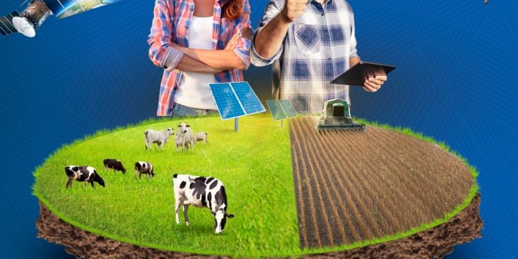 Complem define data da Agrotecnoleite Complem 2022