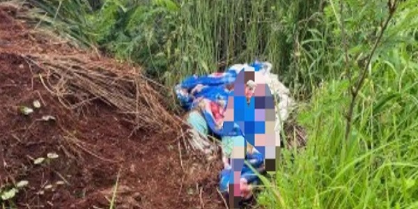 Idosa encontrada morta com sinais de agressão às margens da BR 153, é identificada e suspeito é preso.