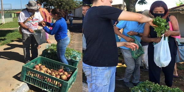 Projeto Horta Comunitária de Morrinhos distribui hortaliças frescas  para moradores carentes