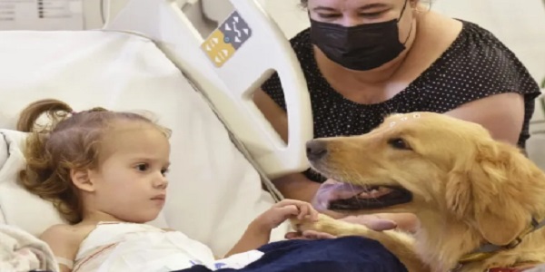 Heloá e Valentina recebem visita de cães em terapia assistida no hospital