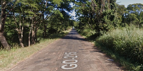 Arvores obstruem trânsito na GO-215 entre Morrinhos e Pontalina