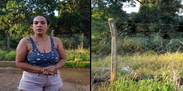 Moradores da Vila Nossa Senhora do Carmo denunciam descarte irregular de lixo na mata do Parque Ecológico