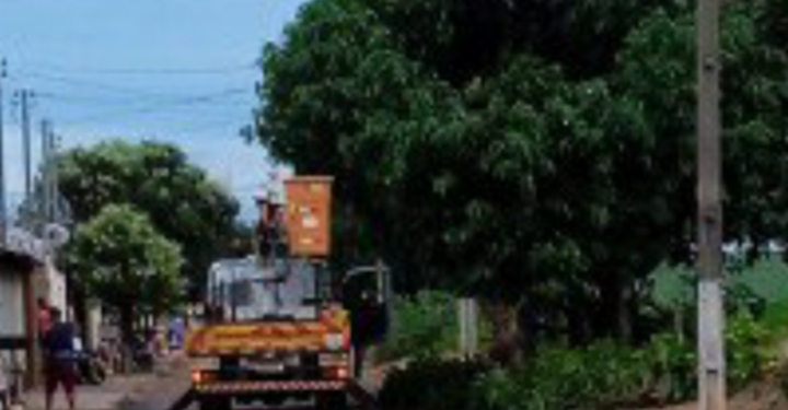 Equatorial Concessionária identifica árvore como causa de apagão em Sol Nascente