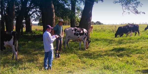 Complem realizou Dia de Campo na Fazenda Bom Jardim das Flores