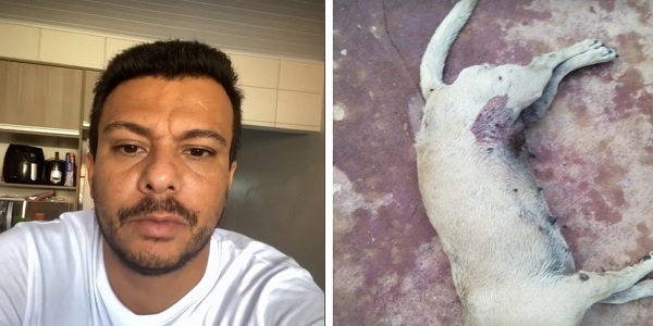 Vereador denuncia que cão foi baleado e morto em abrigo temporário de animais em Morrinhos