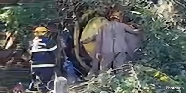 Grave acidente com caminhão é registrado na GO-309 em Caldas Novas na tarde deste sábado