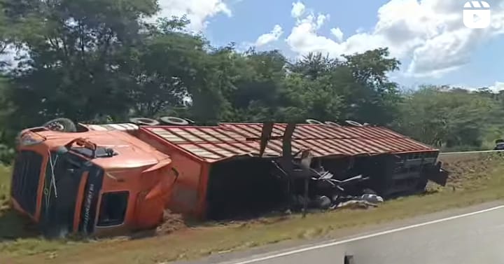 Carreta com bois tomba e interdita BR-153, entre Morrinhos e Professor Jamil