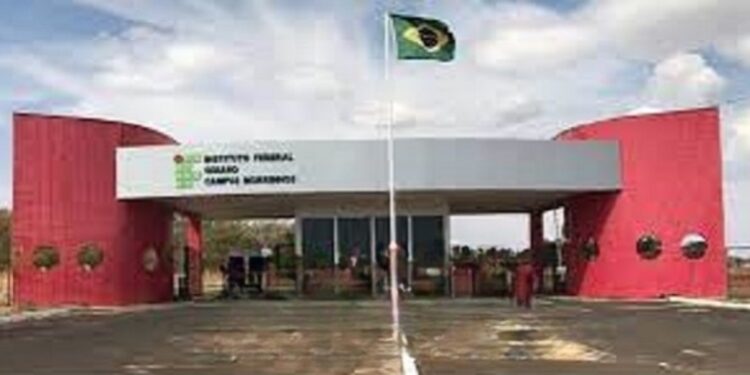 IF Goiano promove novo Processo Seletivo para docente no Campus Morrinhos
