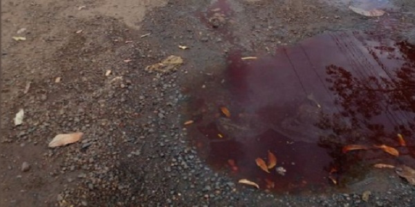Prefeitura aciona departamento de postura após moradora expor situação de água de servidão contaminada de sangue no Setor Sol Nascente