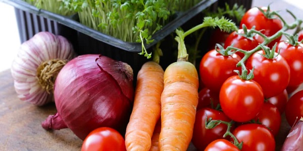 Divulgada lista de agricultores de Morrinhos aprovados no PAA Goiás 2023; confira 