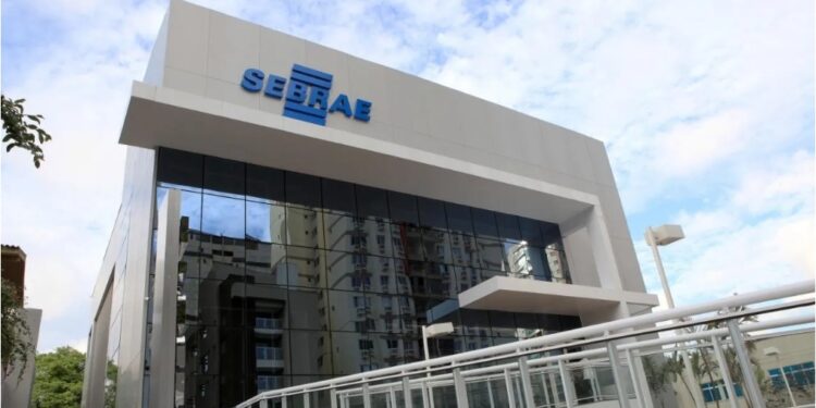 Sebrae Goiás abre seleção para bolsistas em agentes locais de inovação com salários de R$ 5 mil; veja como se inscrever