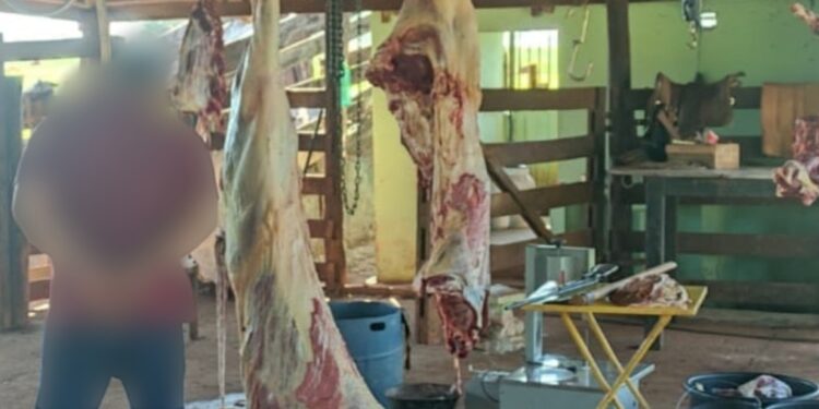 Operação Batalhão Rural: Combate Efetivo ao Furto de Gado em Buriti Alegre