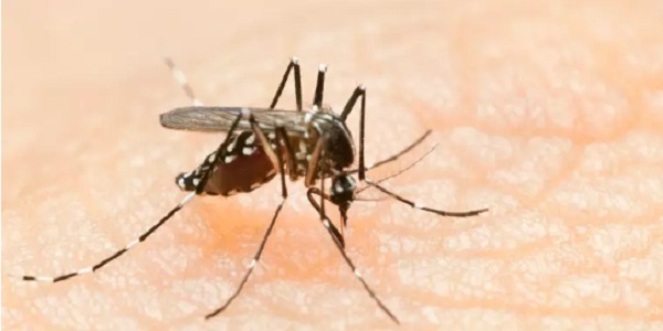 Morrinhos está entre as 521 cidades anunciadas pelo Ministério da Saúde que vão aplicar a vacina da dengue
