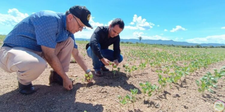 Morrinhos recebe Expedição Safra Goiás no dia 21
